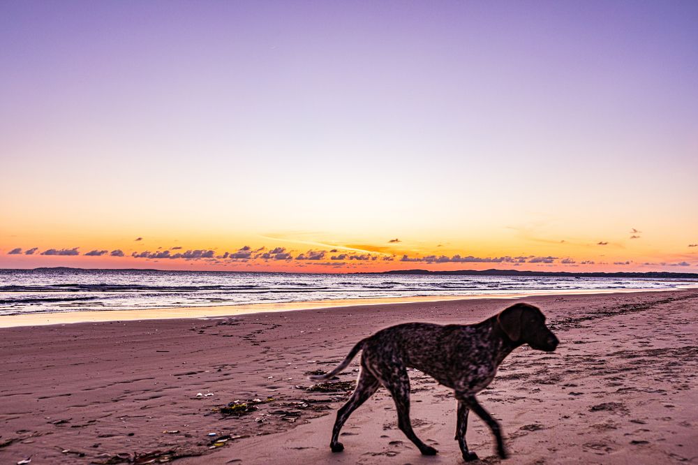 Photograph by Trivet Antony