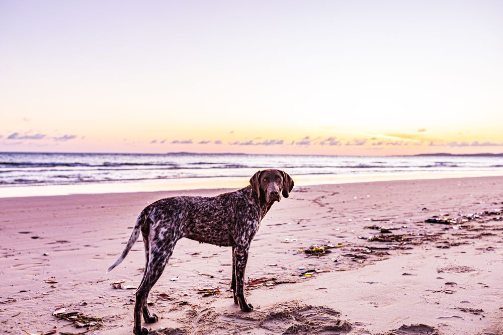 Photograph by Trivet Antony