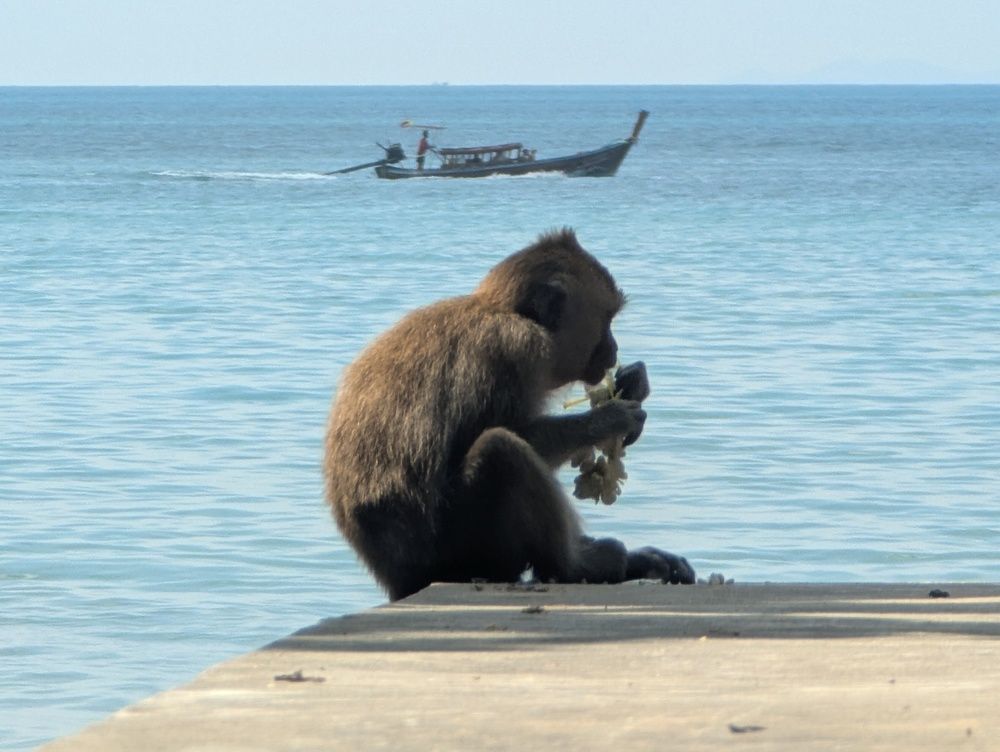 Photograph by Marina Razheva