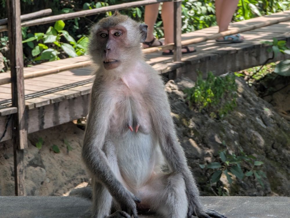 Photograph by Marina Razheva