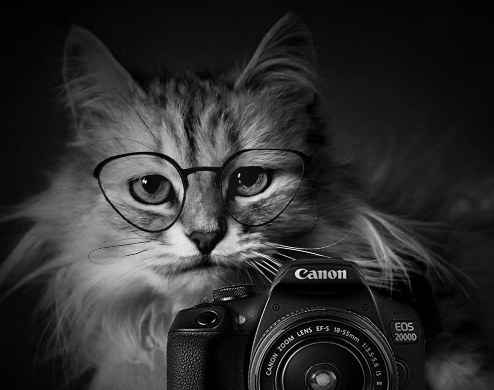 Photograph by Зоя Быкова