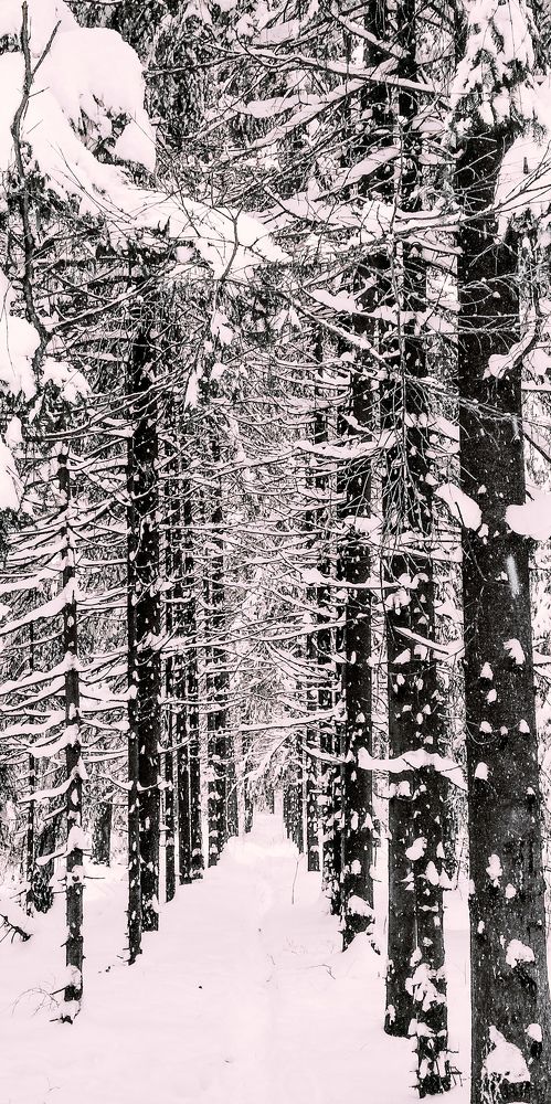 Photograph by Yulia Ocean