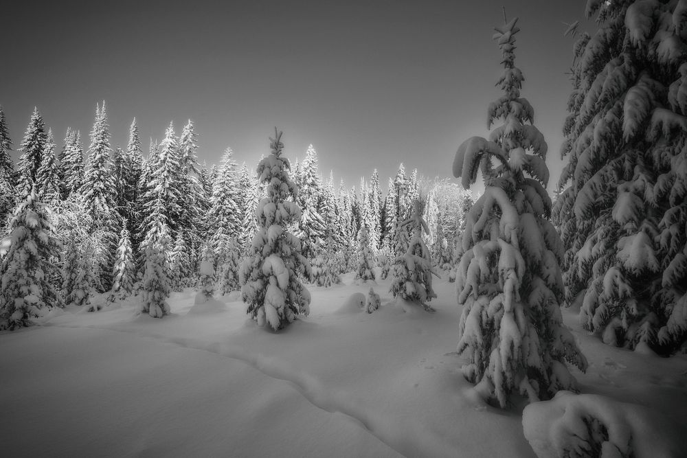 Photograph by  Михаил