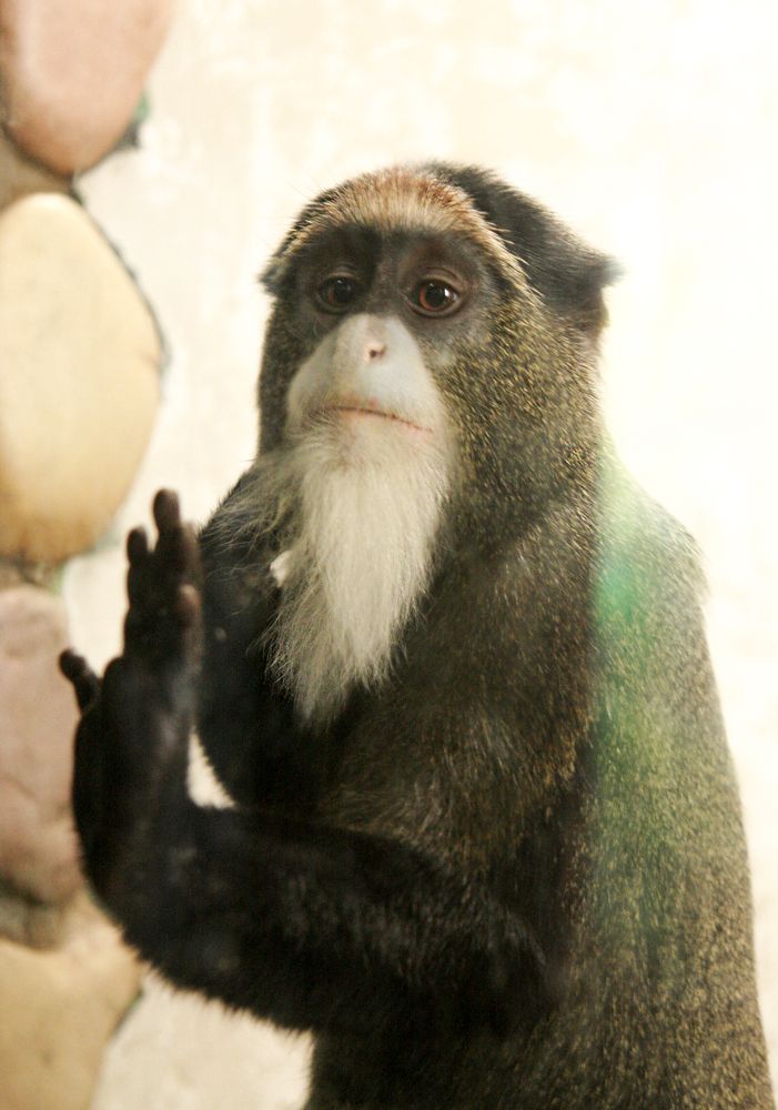 Photograph by Ирина Архипова