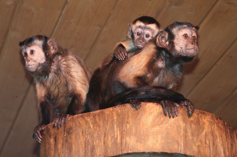 Photograph by Ирина Архипова