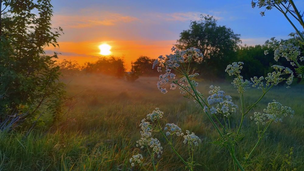 Летний рассвет