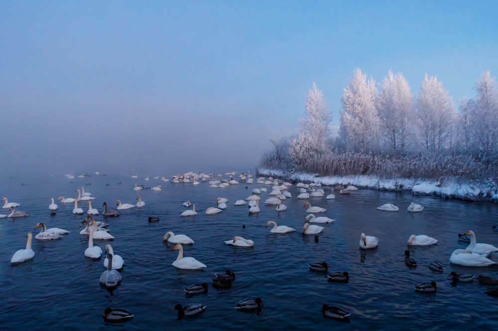 Photograph by Сергей Ларин