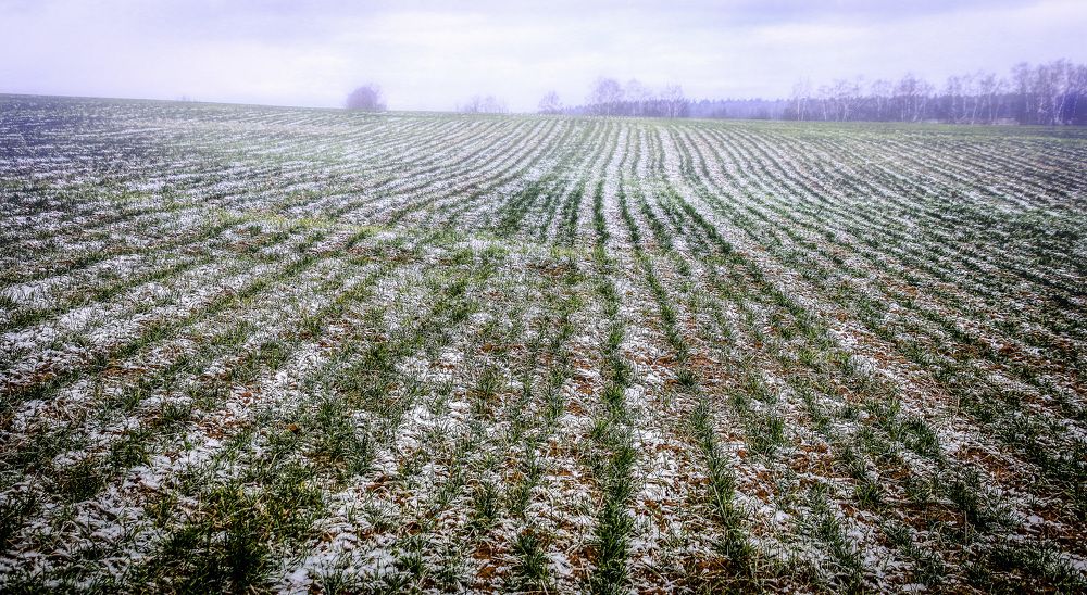 Photograph by Вячеслав Лычков