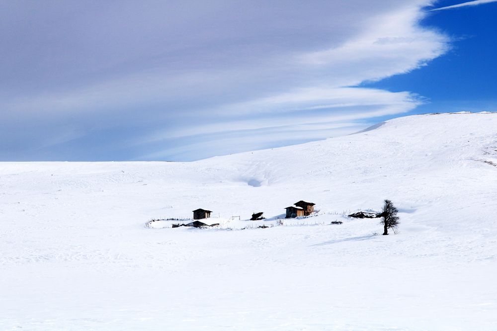 Photograph by Zahra jouri