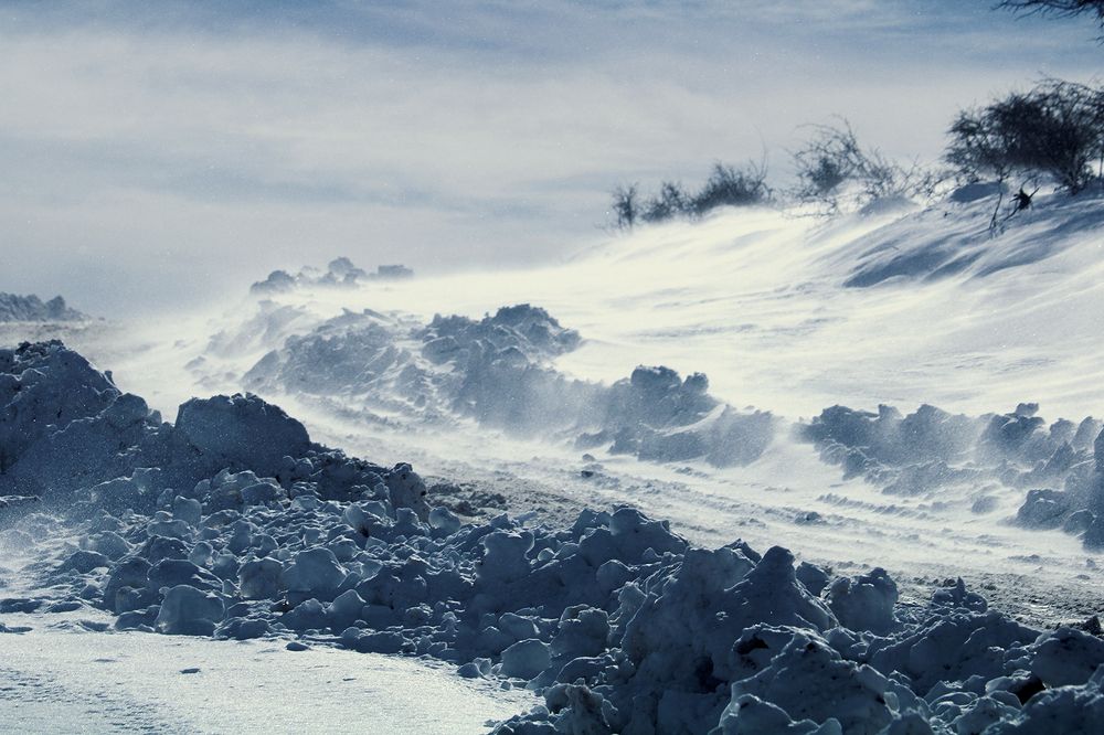 Photograph by Zahra jouri