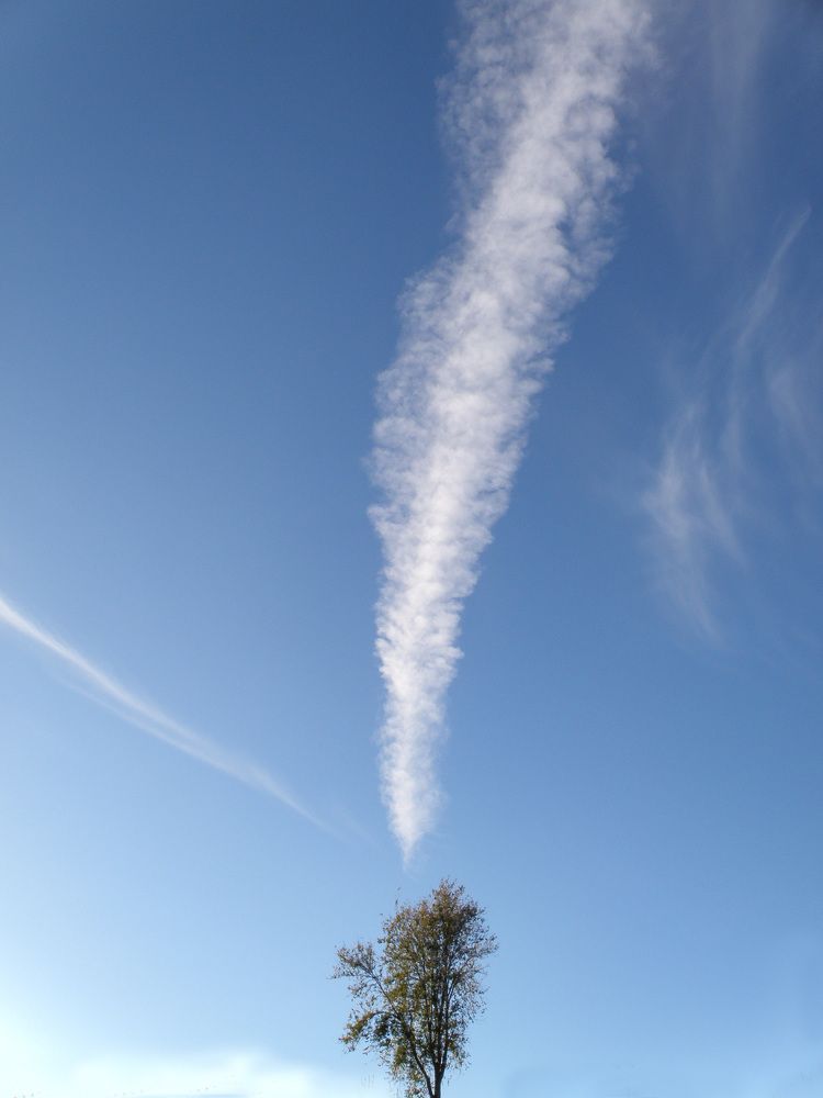 Фотография автора Angelo Dolci