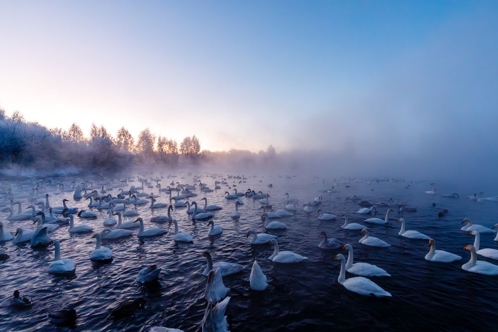 Photograph by Сергей Ларин