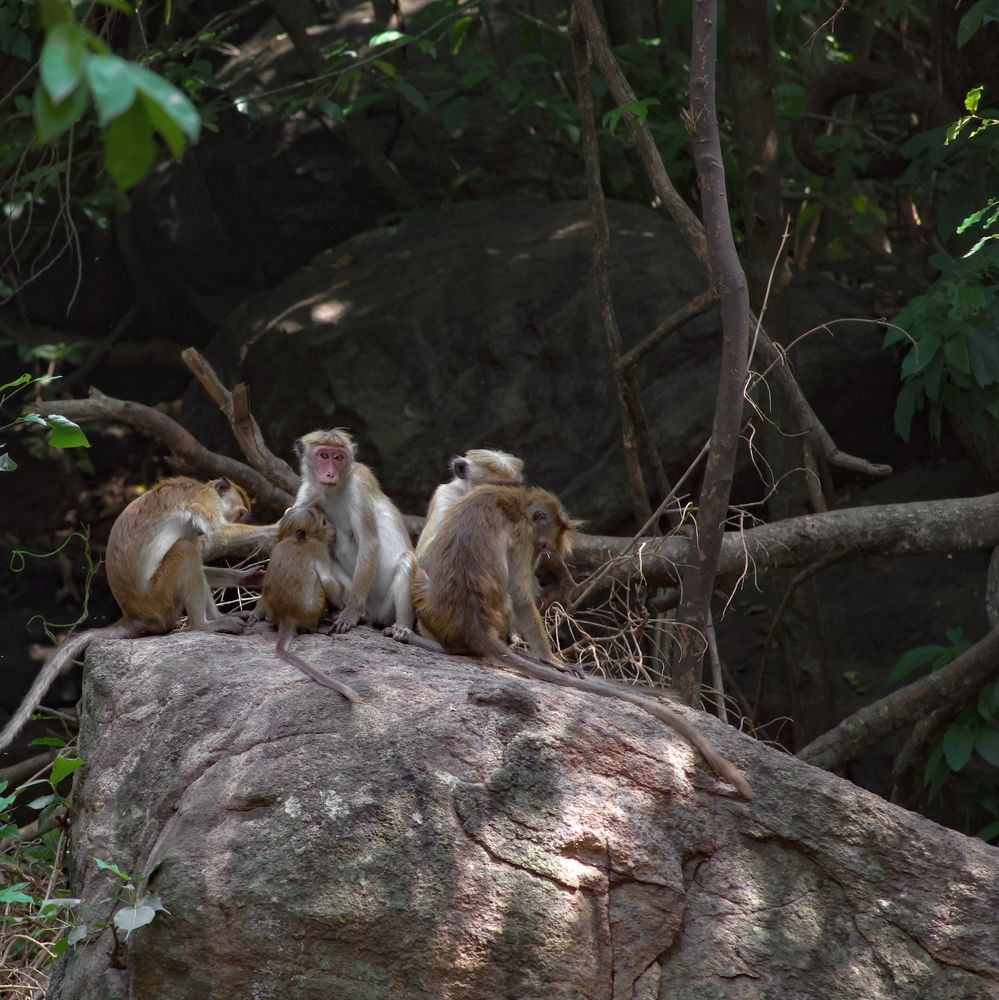 Фотография автора Евгения Никишина