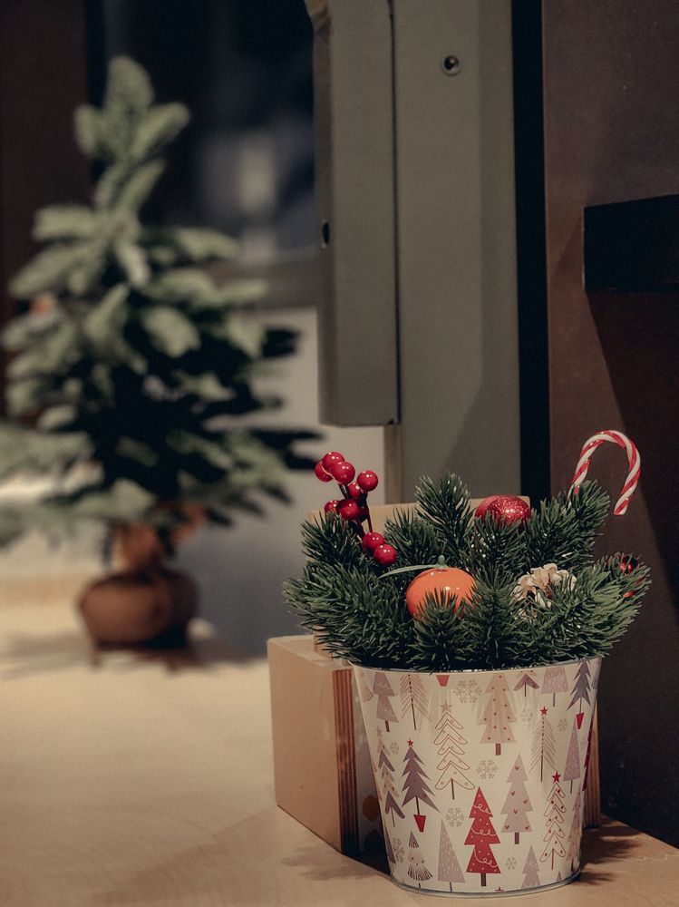 Photograph by Inna Iudina