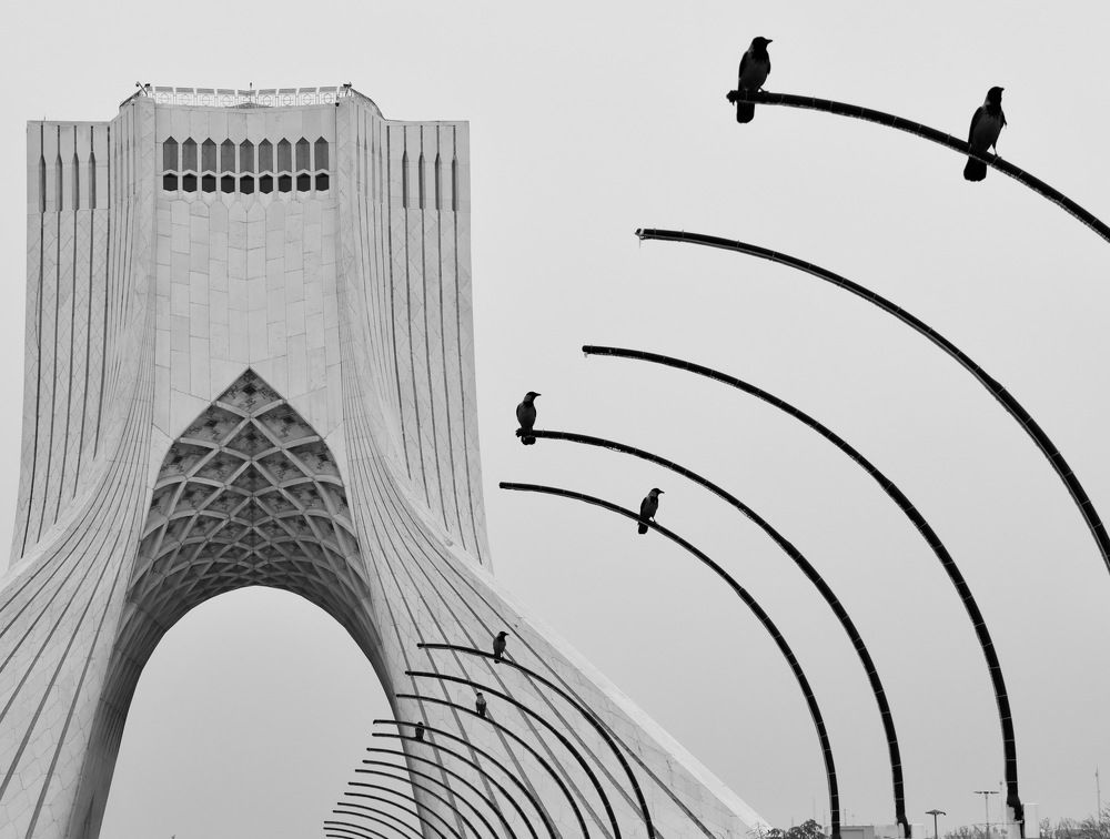 Freedom tower and crows