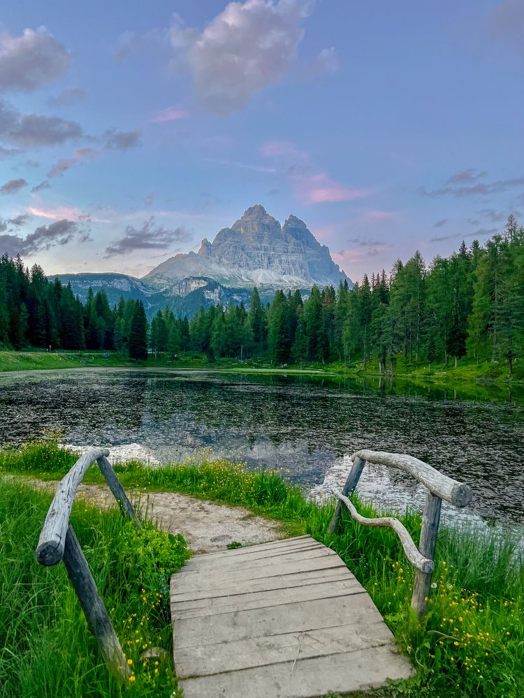 Фотография автора Krisztián Zámbó