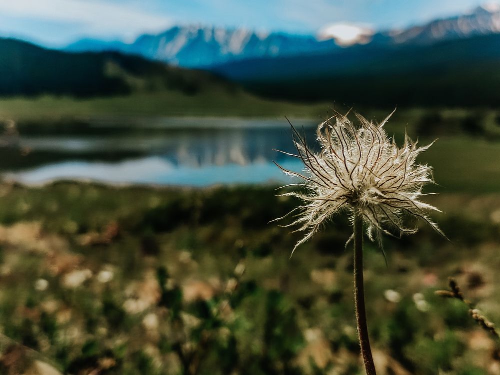 Photograph by Александра Петрова