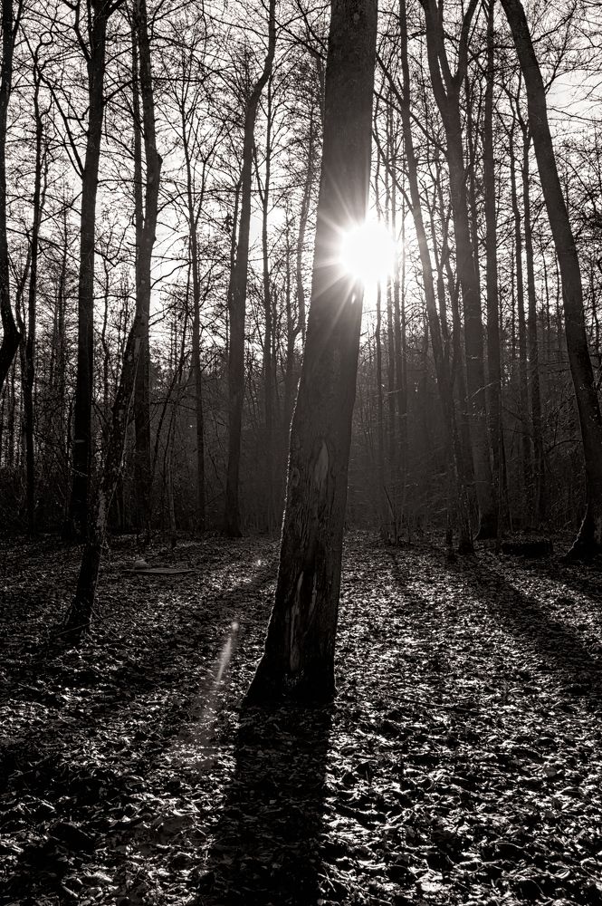 Photograph by Евгений Козлов