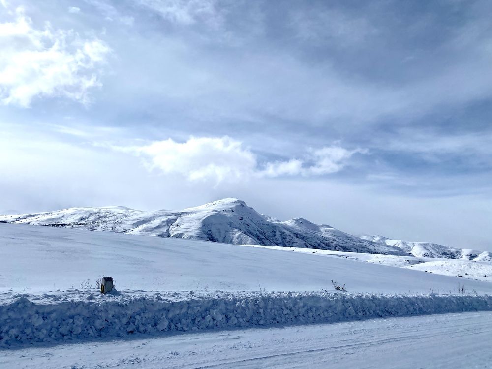 Photograph by Nune Pashayan