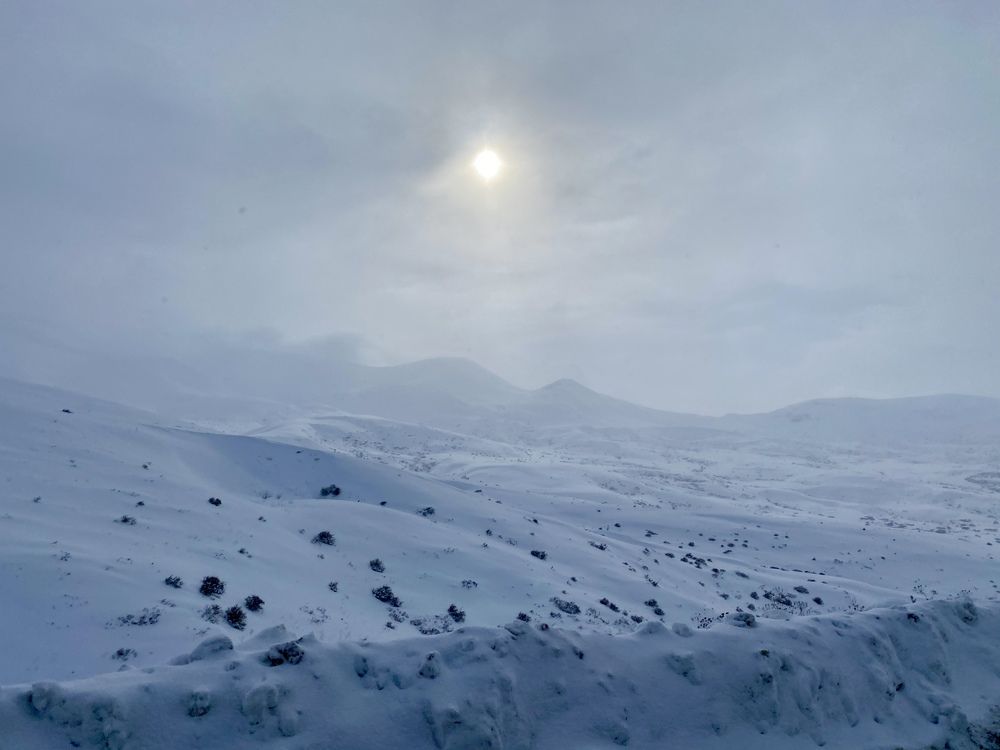 Photograph by Nune Pashayan