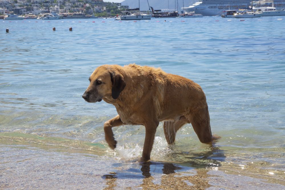 Photograph by Анна Васильева