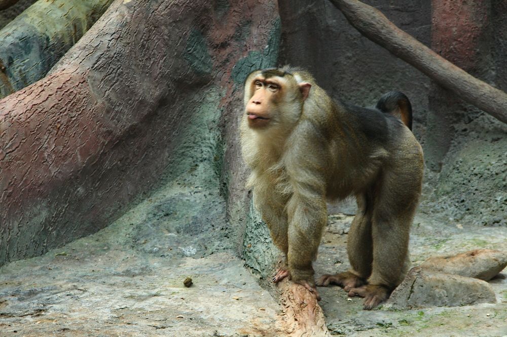 Photograph by Юрий Чистяков