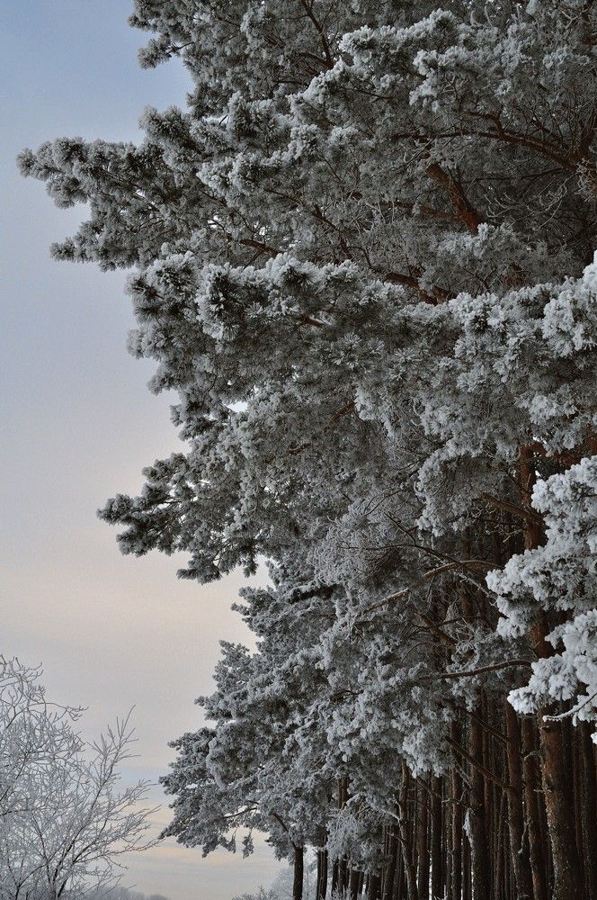 Photograph by Evgeny Shevelev