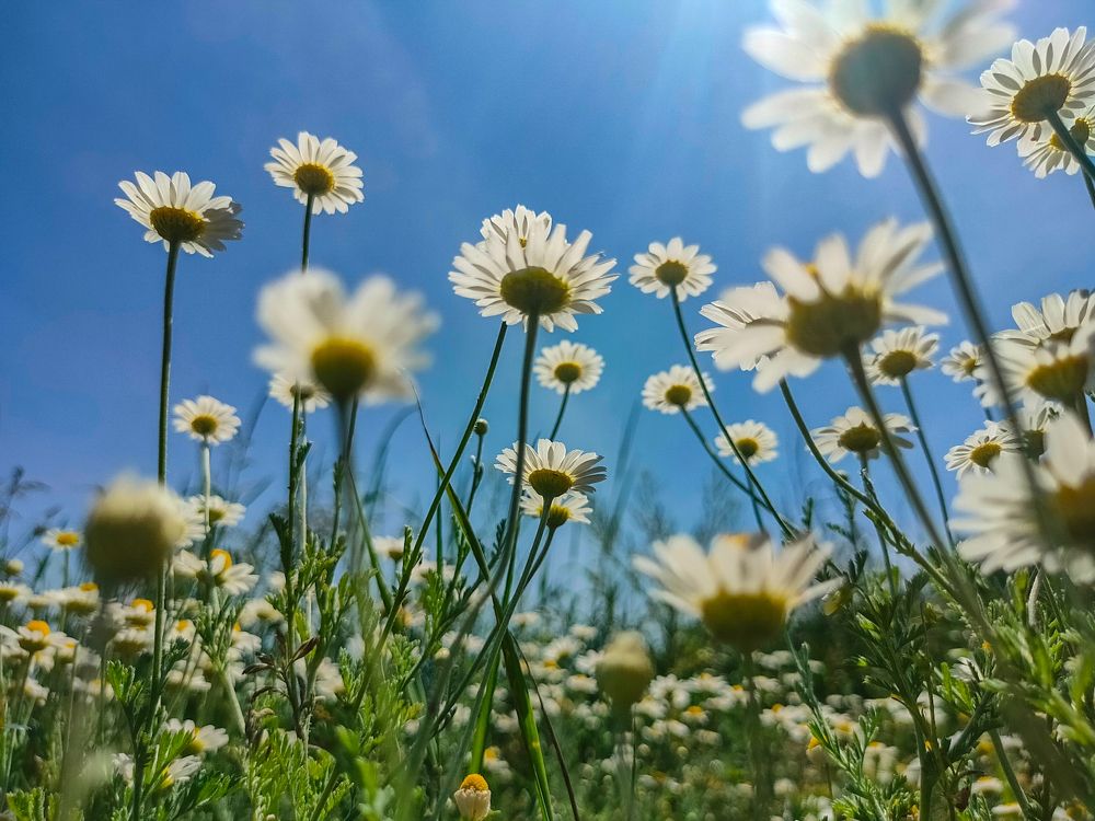 Photograph by Сергей Конюшенко