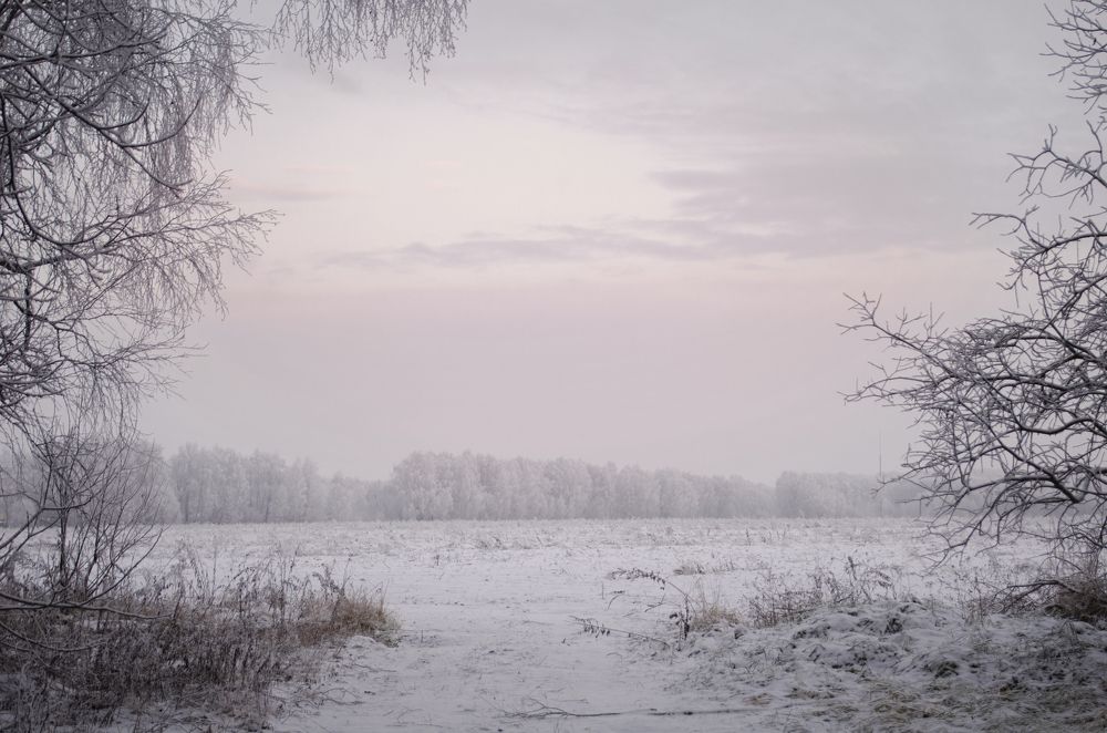 Photograph by Анна Салтыкова