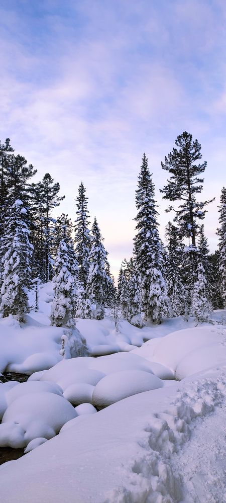 Фотография автора Оркина Ксения