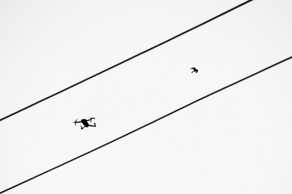 Photograph by Shamal Shakibayi