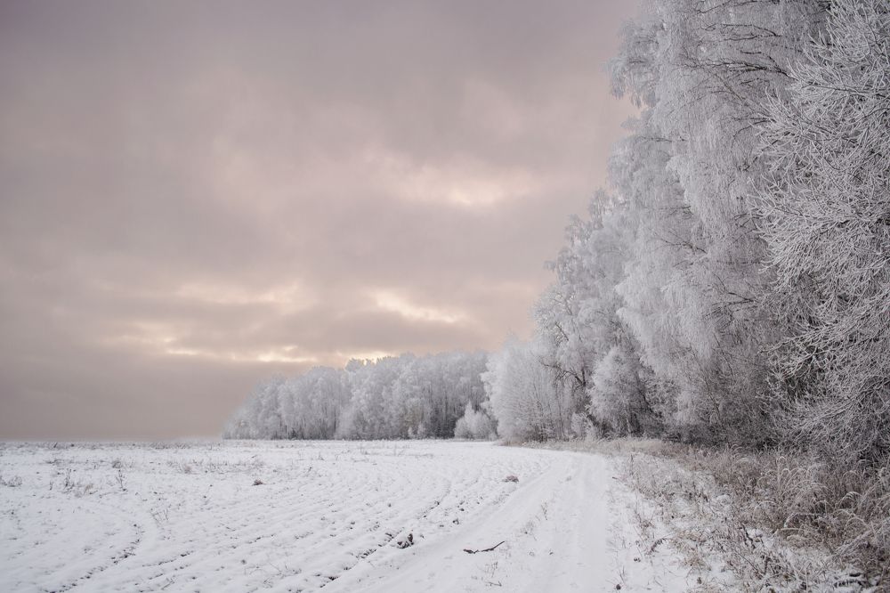 Photograph by Анна Салтыкова
