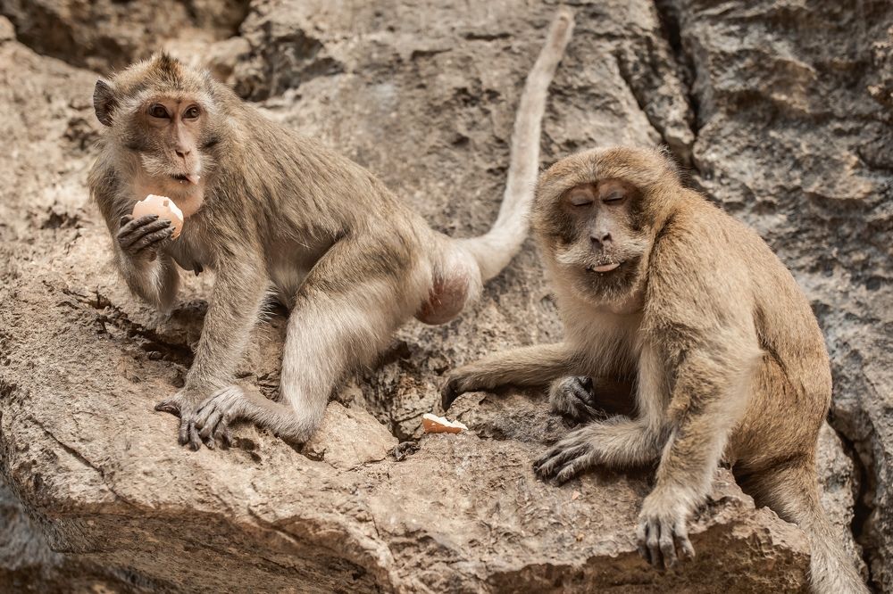 Photograph by Ольга Хентова