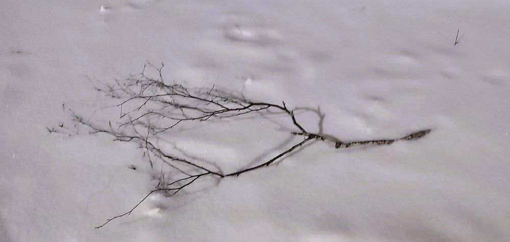 Photograph by Светлана Батурова