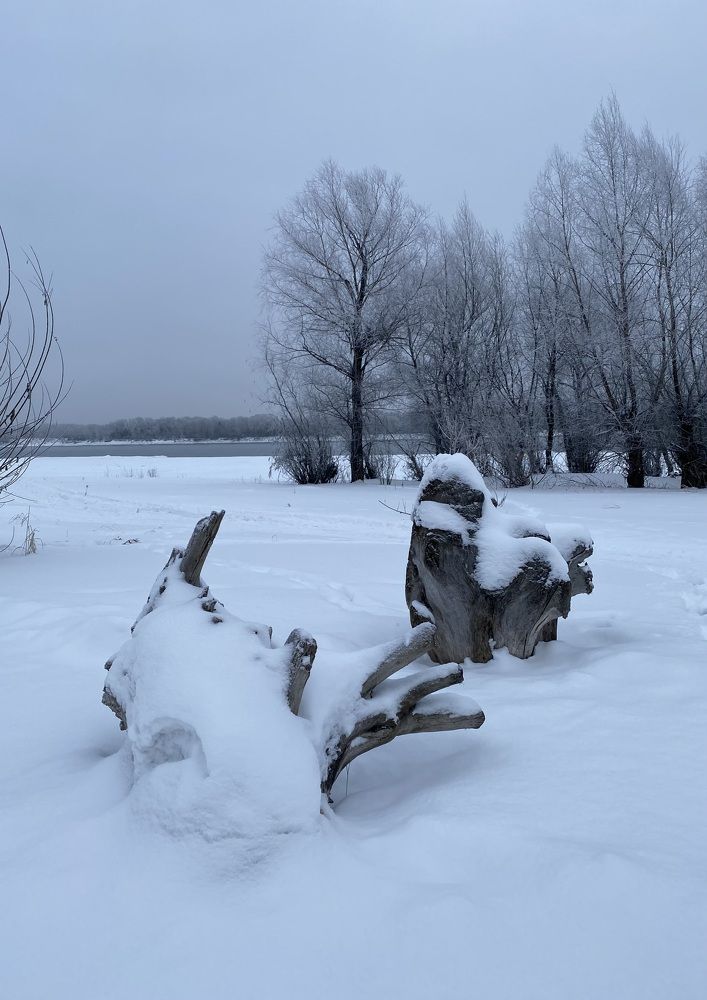 Photograph by Алиса Лукина