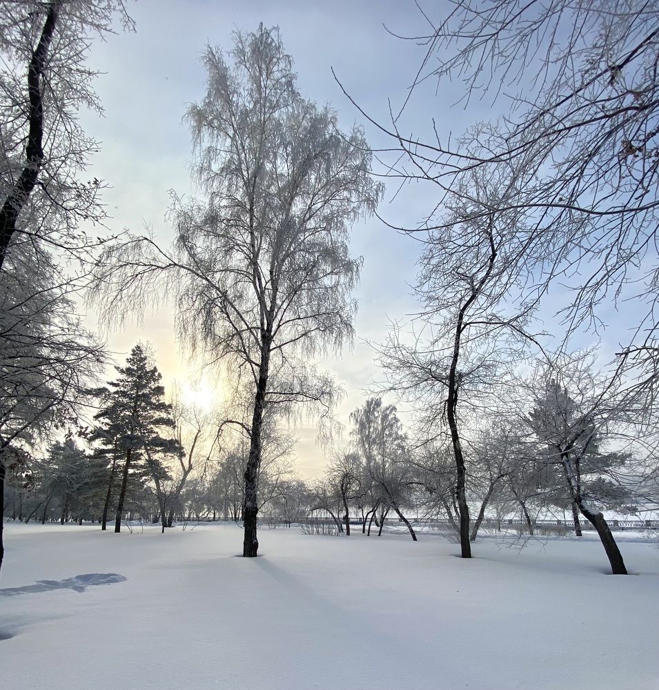 Photograph by Алиса Лукина