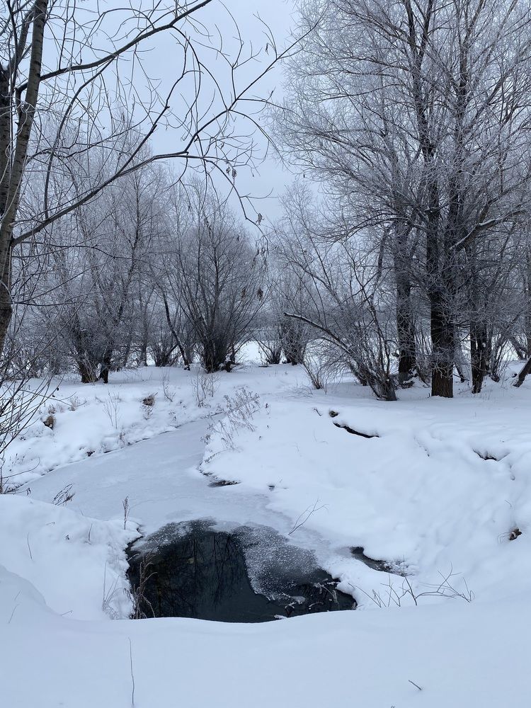 Photograph by Алиса Лукина