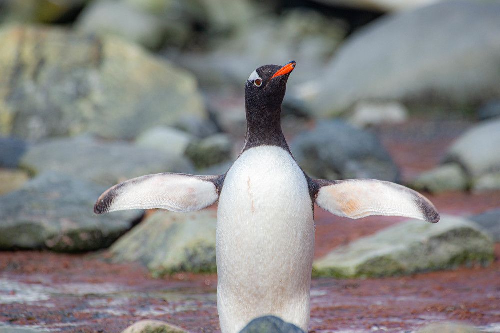 Photograph by Писарев Василий