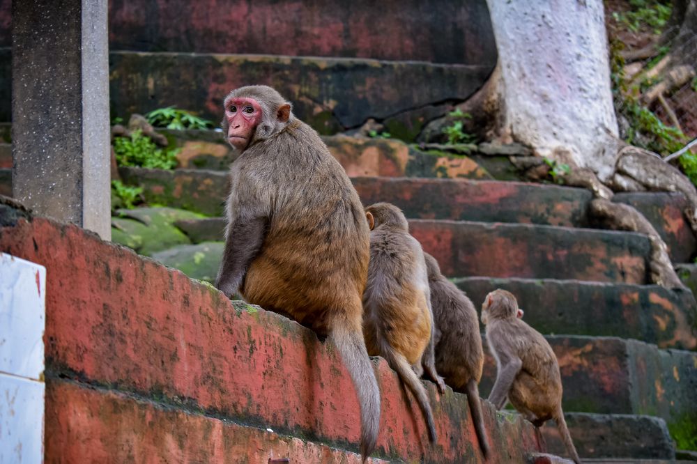 Photograph by DEBRAJ PURKAYASTHA