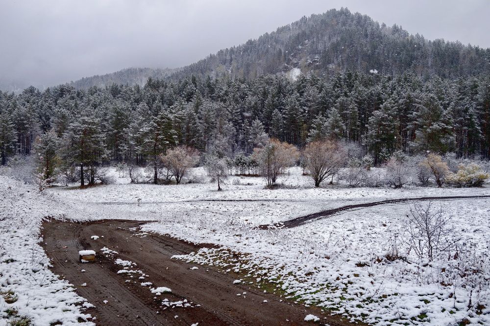 Photograph by Сергей Гребенников