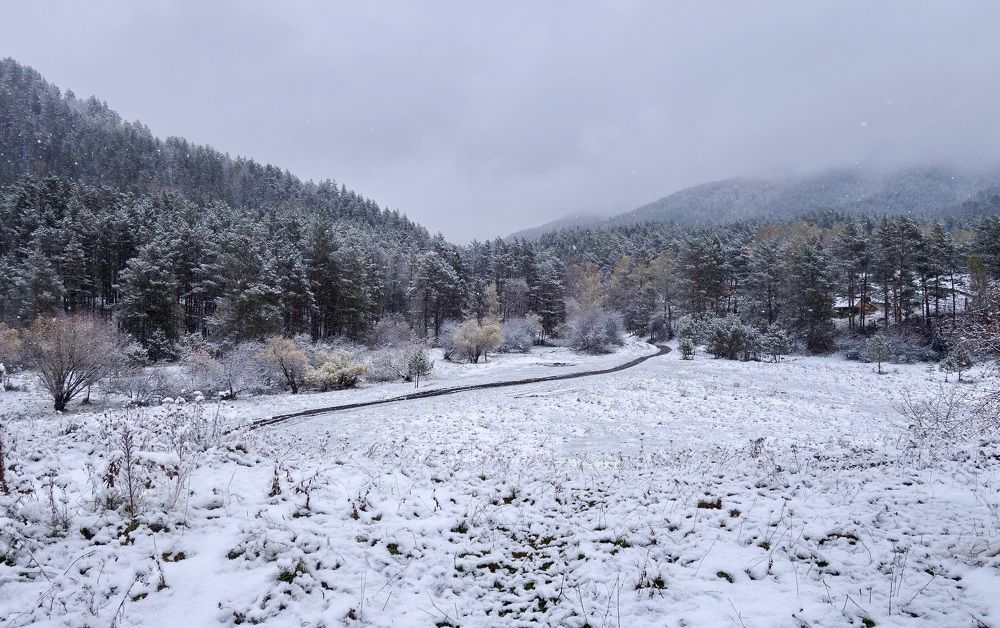 Photograph by Сергей Гребенников