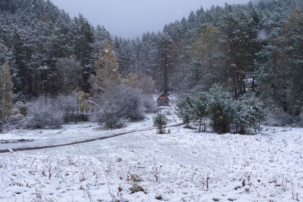 Photograph by Сергей Гребенников