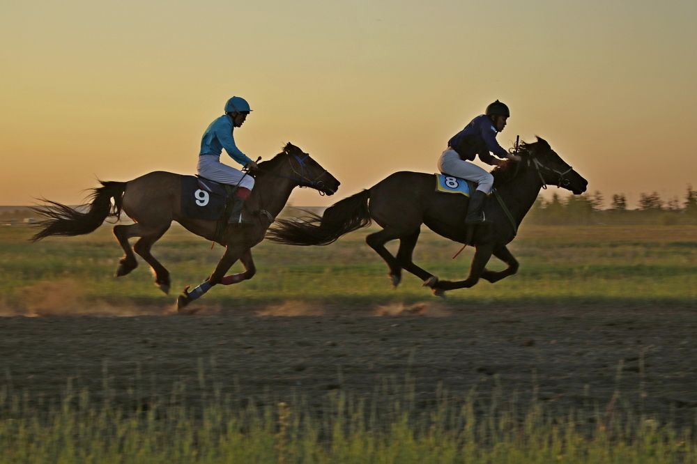 Photograph by Александр Велигура