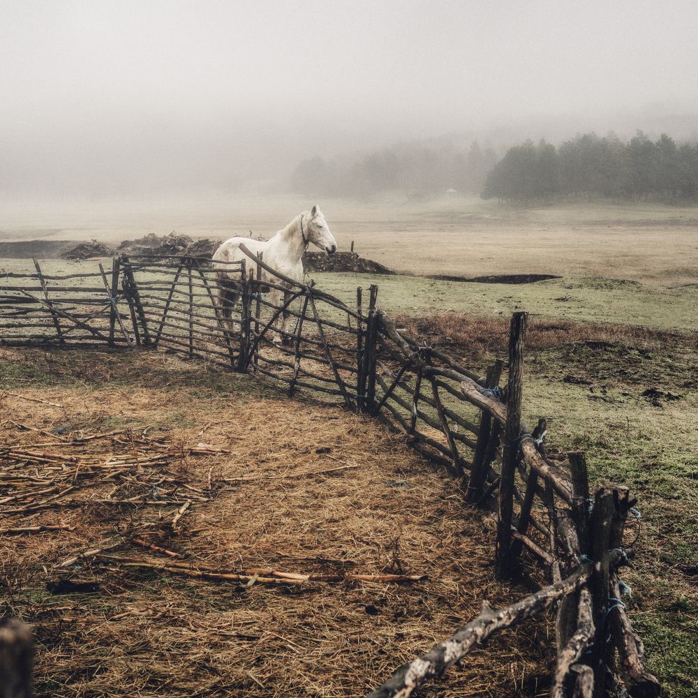 Фотография автора Oleg Suhenko