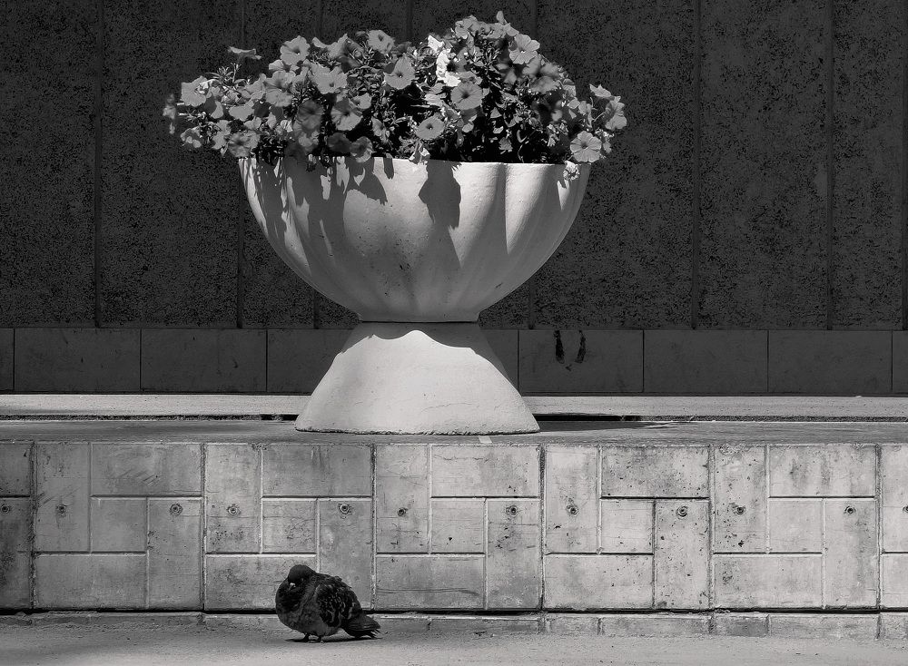 Photograph by Сергей Гребенников