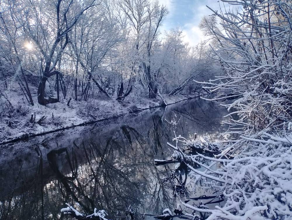 Forest River