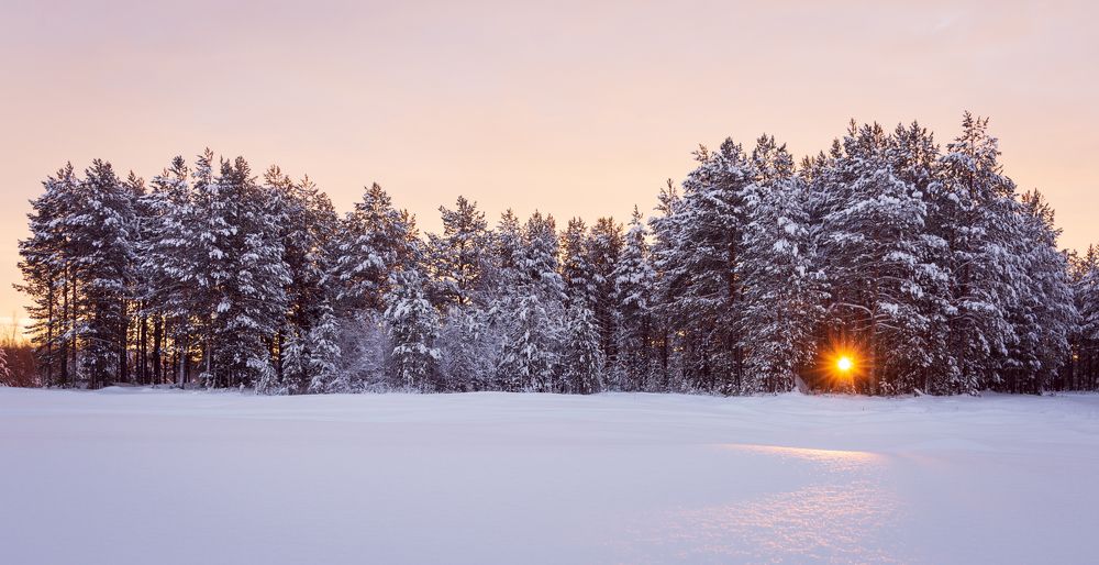 Мороз и солнце