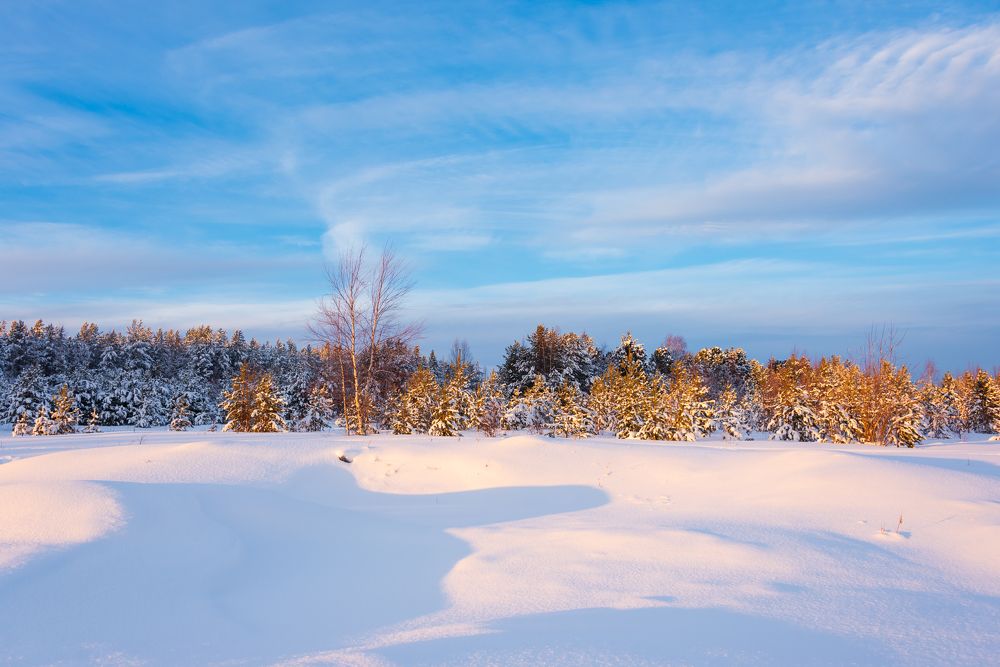 Зимняя картина