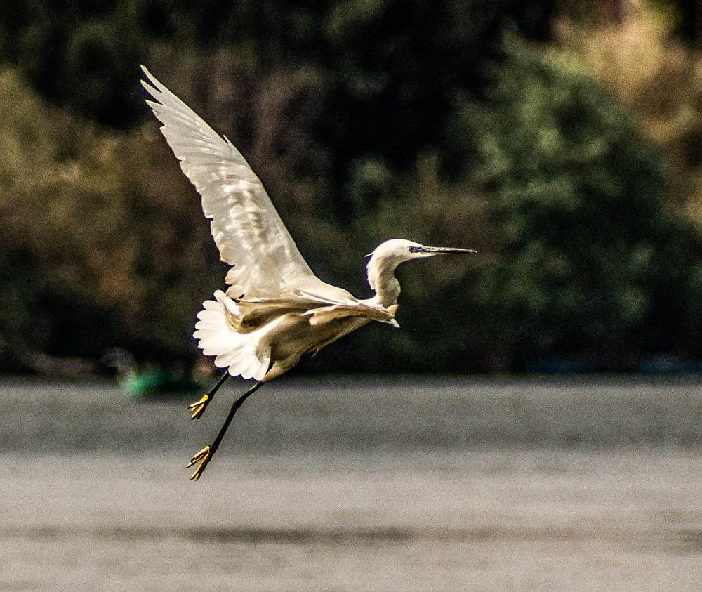 Photograph by Eslam ElsayedEldaramlly