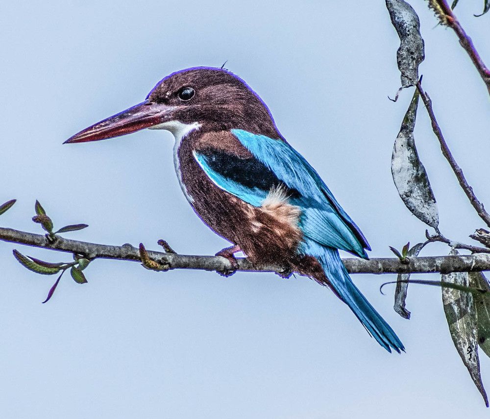 Photograph by Eslam ElsayedEldaramlly